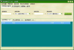 域名批量查询工具 远方域名工厂 v1.1 官方版下载 9553下载